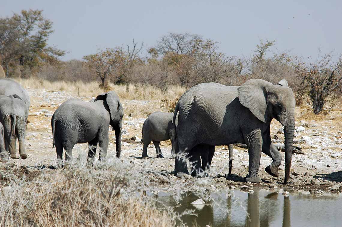 Camperverhuur Caprivi